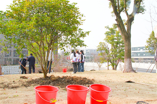 1710923921569701.jpg 8..jpg