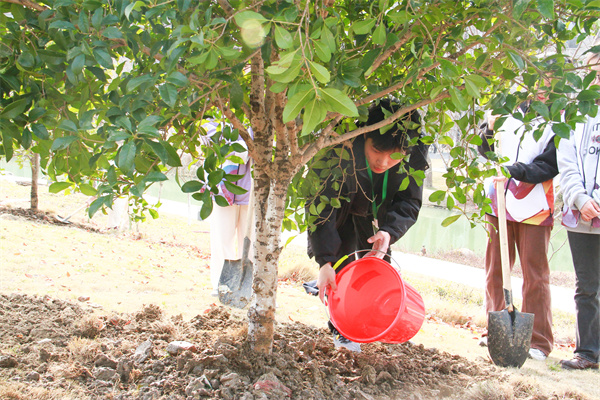 1710923921625429.jpg 7..jpg