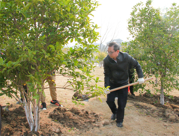 1710923943981391.jpg 3..jpg