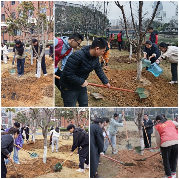 1741834644316171.jpg 未命名_副本.jpg