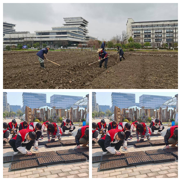 1741850997493563.jpg 光影魔术手拼图.jpg