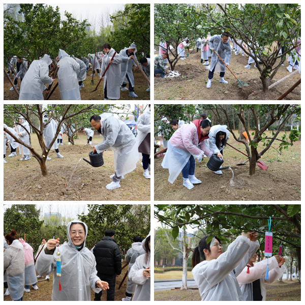 1741854455645071.jpg 光影魔术手拼图.jpg