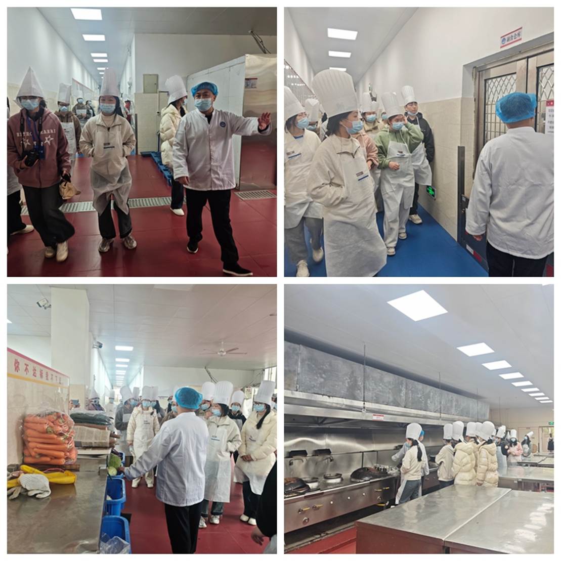 1744966632517058.jpg 1744966632517058.jpg