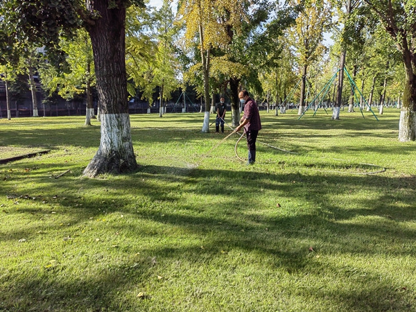 1666090397212933.jpg 2.jpg