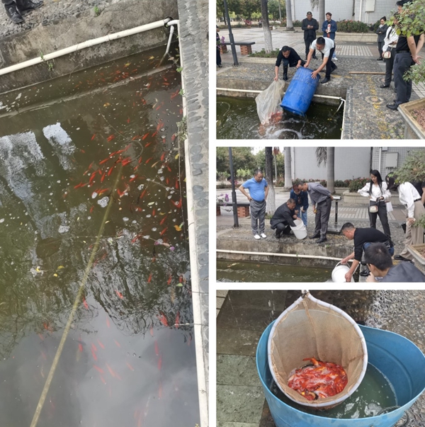 1681993195852632.jpg 微信图片_202303211505525_副本.jpg