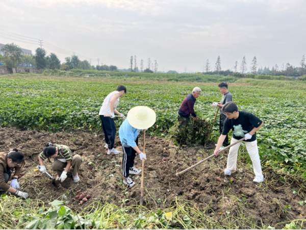 1698974428680707.jpg 2.jpg