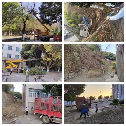 1710488136599769.jpg clip_image002.jpg