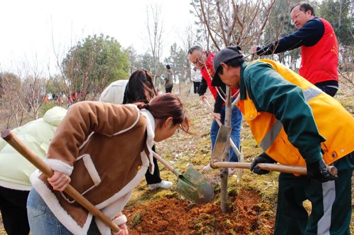 1711005075725830.jpg clip_image006.jpg