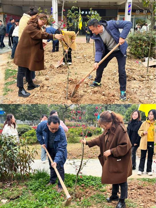 1711005480396390.jpg clip_image008.jpg