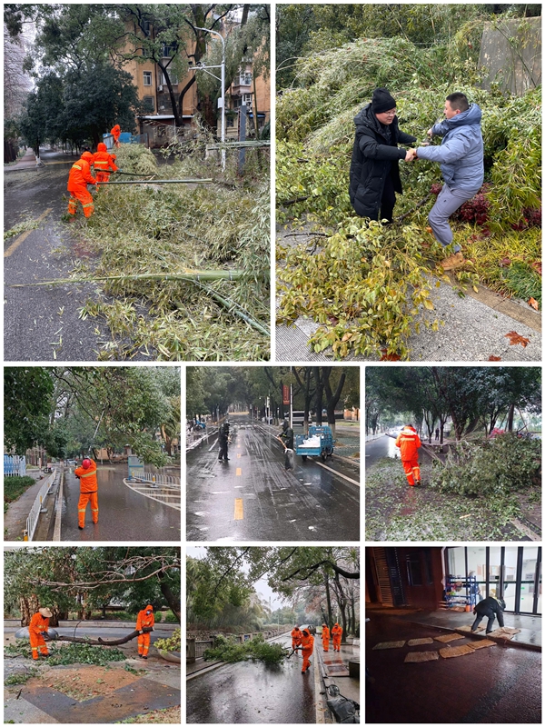 1711007601805136.jpg 图3.jpg