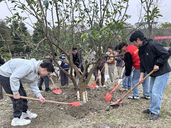 1711010517367787.jpg 2.jpg