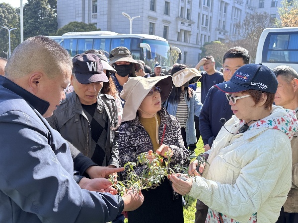 1713338264900651.jpg clip_image002.jpg