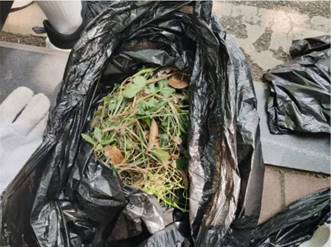 1716448016857699.jpg clip_image012.jpg