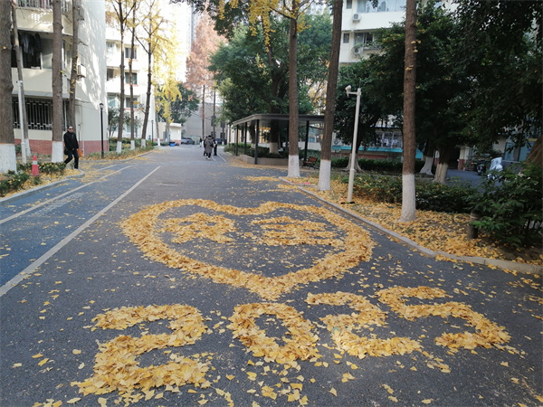 1734923669652593.jpg 8.jpg