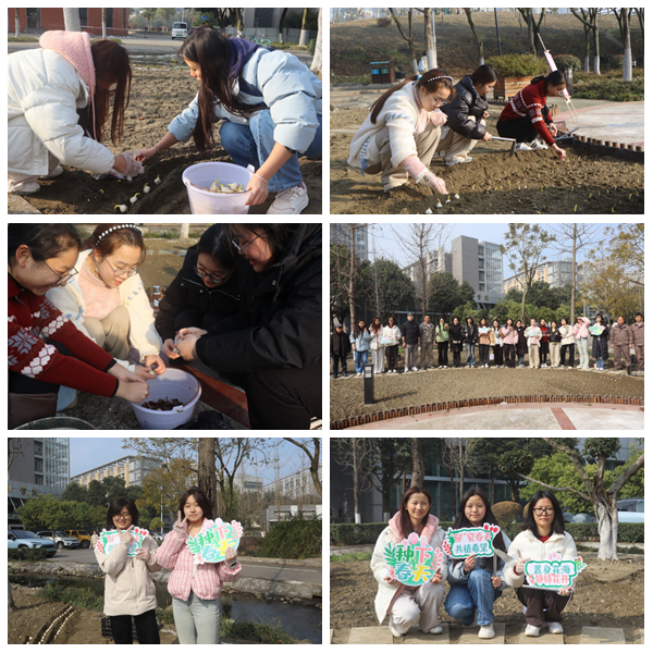 1741162897113421.jpg 光影魔术手拼图.jpg