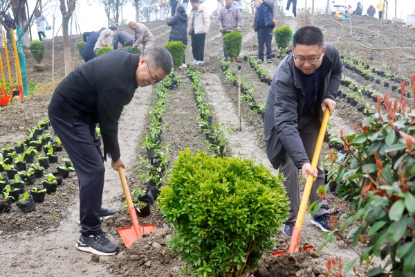 校领导植树.jpg