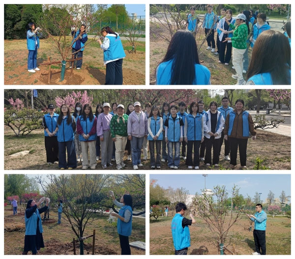 1745374106857304.jpg 01.jpg